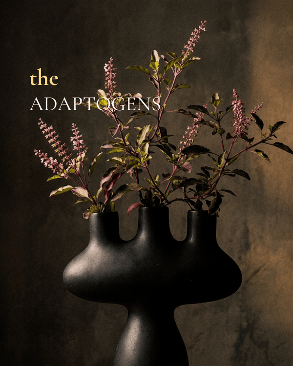What Are Adaptogens? A Straight Answer - sage & veda