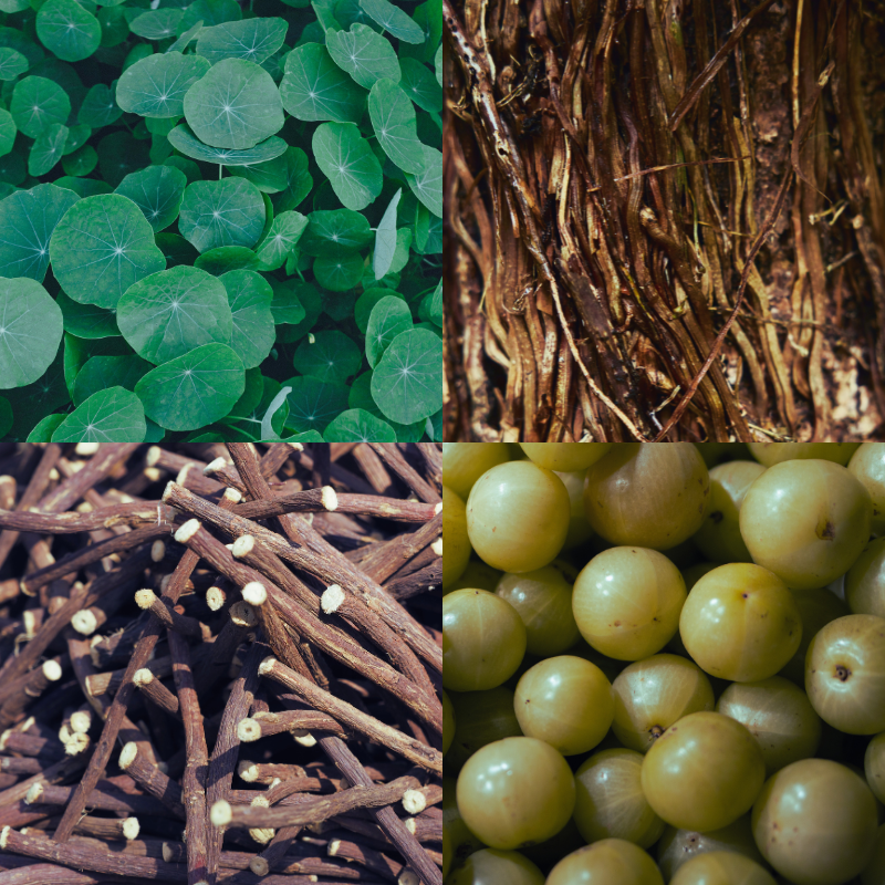 ADAPTOGENS, APPLIED TOPICALLY