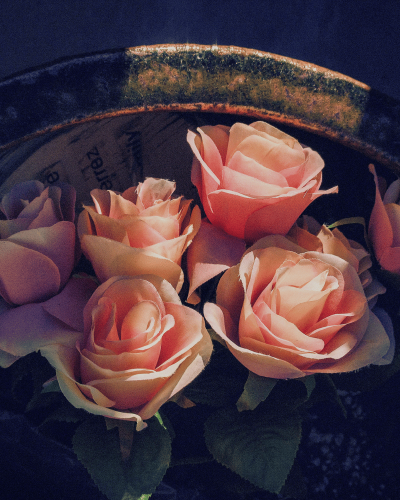A Rose Affaire Eau de Parfum by Sage and Veda - Chapter One Beautiful Irreverence