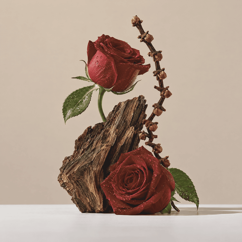 Fragrance notes