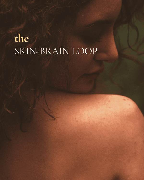 What Is the Skin-Brain Loop - sage & veda