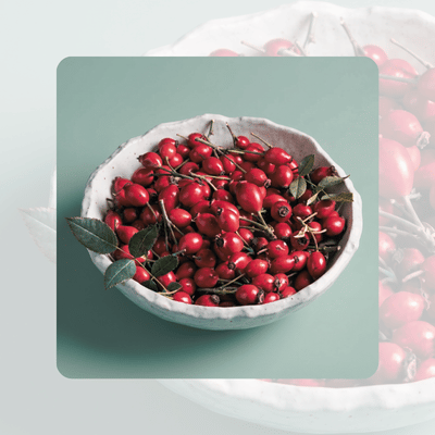 ROSEHIP