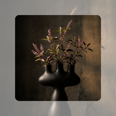 TULSI
