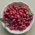 Rosehip Seed Oil