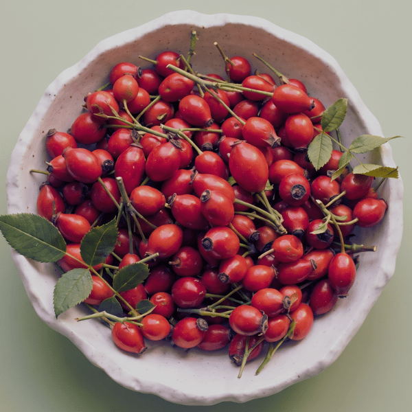 Rosehip Seed Oil