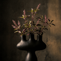 Tulsi (Holy Basil)