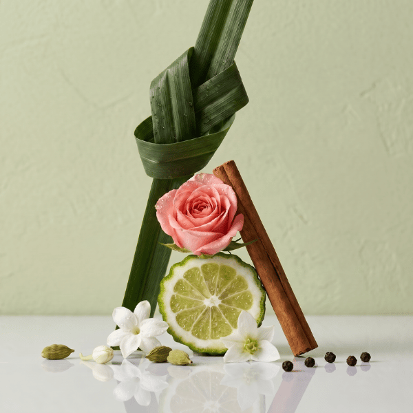 Fragrance notes
