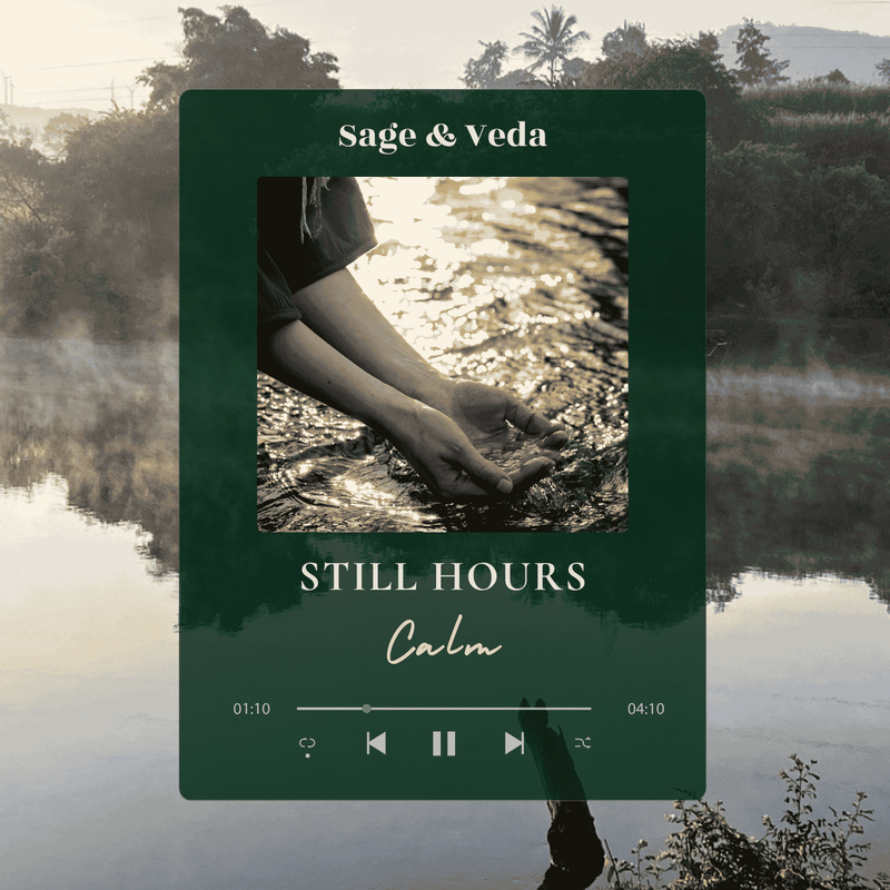 Still Hours