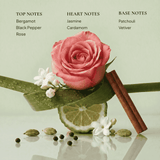 Mood System Set - sage & veda